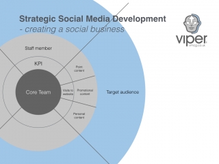 Individuals detail of the The Viper Social Business Model - completer using the Rule of Thirds