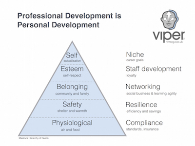 Viper Marketing - Maslow’s Hierarchy of Needs for professional development